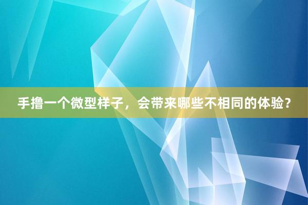 手撸一个微型样子，会带来哪些不相同的体验？